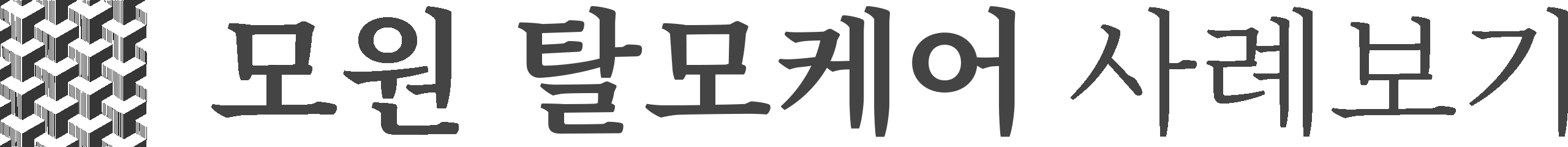 모원 두피케어 사례보기